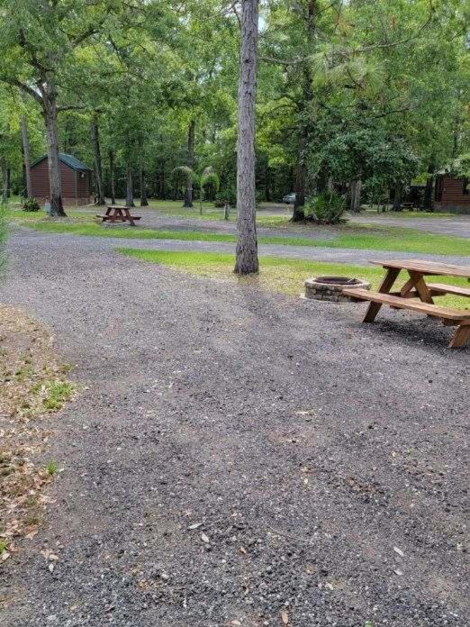 Okefenokee Pastimes Cabins And Campground Stanley Landing Eksteriør bilde